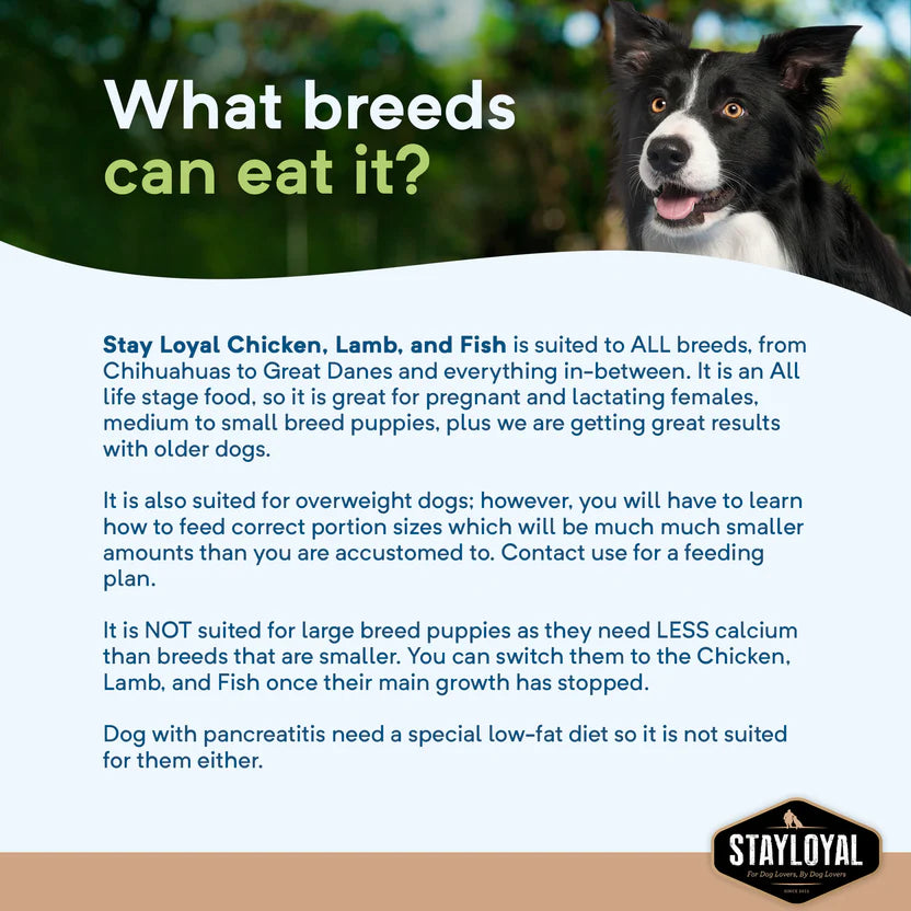 Stay Loyal – Holistic Meat Blend of Chicken, Lamb & Fish – GRAIN FREE