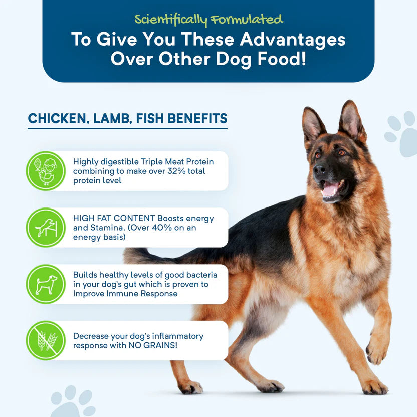 Stay Loyal – Holistic Meat Blend of Chicken, Lamb & Fish – GRAIN FREE