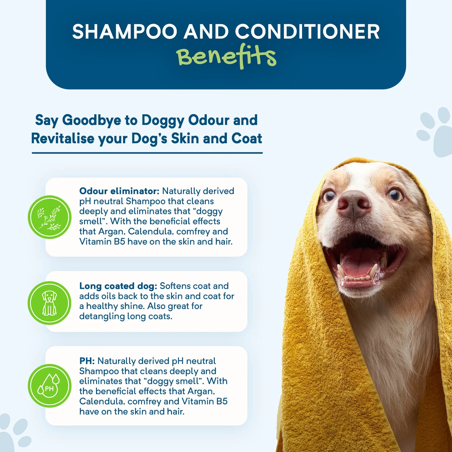 Stay Loyal – Calming Shampoo