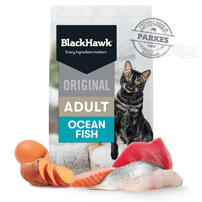 Black Hawk – Adult Cat – Ocean Fish
