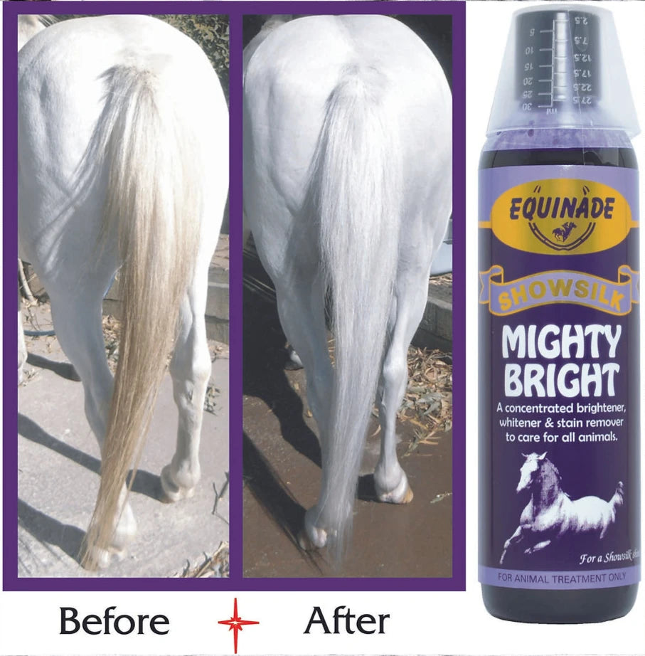 Equinade – Showsilk – Mighty Bright