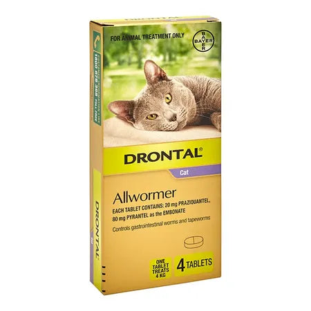 Drontal – Allwormer – Cats & Kittens