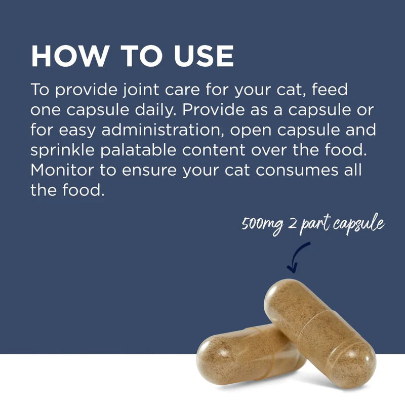 PAW by Blackmores OsteoSupport® Joint Care Powder for Cats
