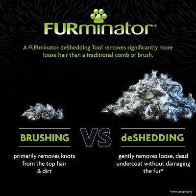 FURminator – Undercoat Deshedding Tool – Short Hair Dog