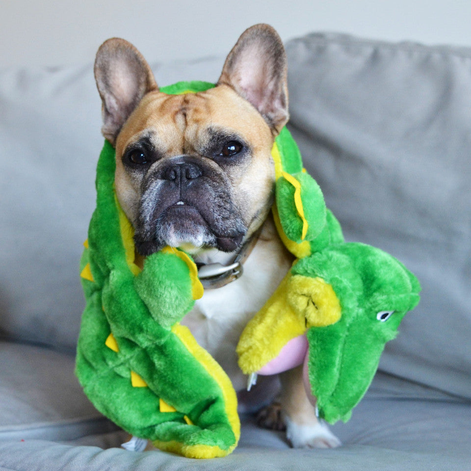 Outward Hound – Squeaker Matz – Gator