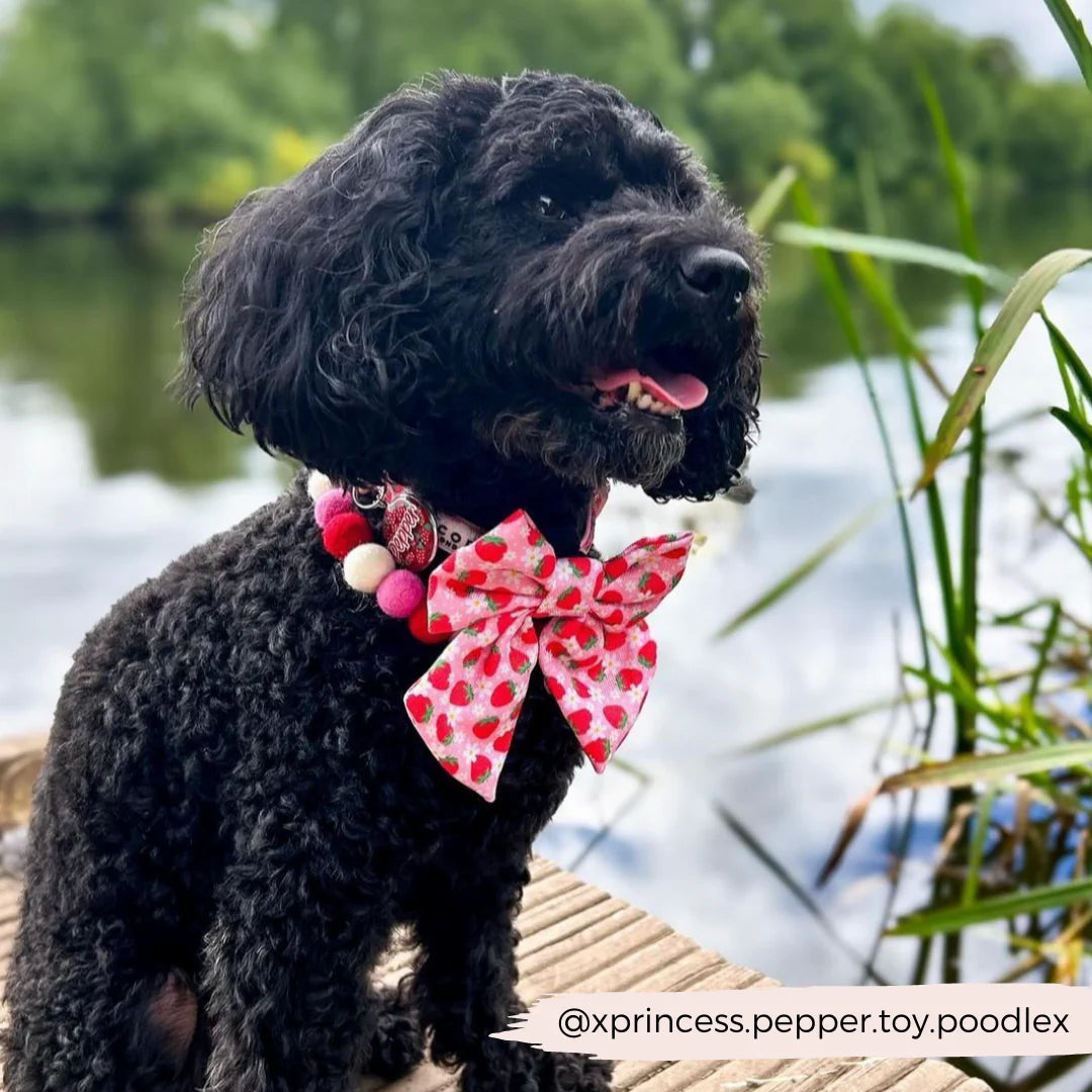 Cocopup London – Sailor Bow Tie – Pupberry Fields