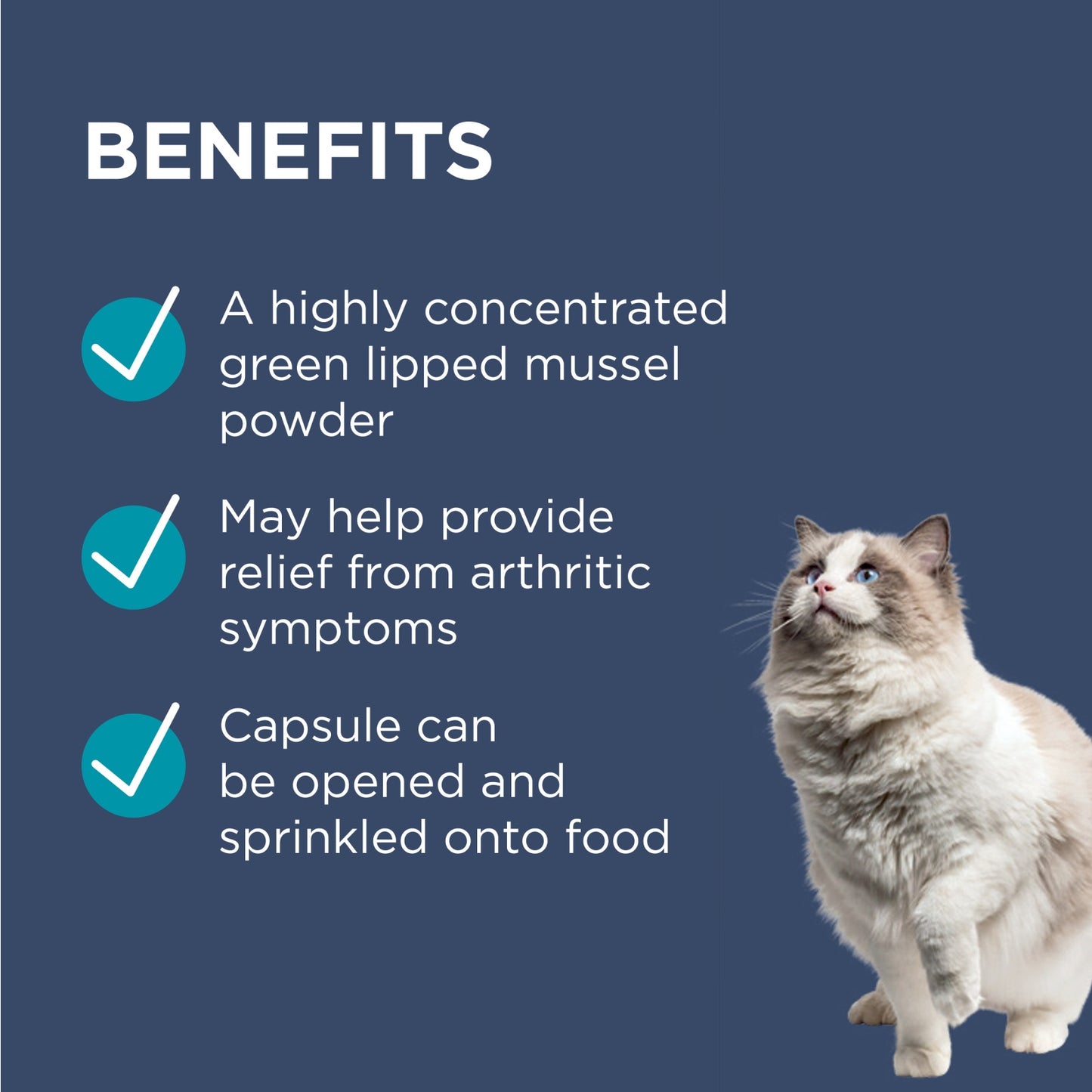 PAW by Blackmores OsteoSupport® Joint Care Powder for Cats