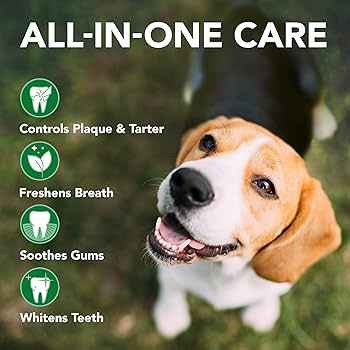 Vet’s Best – Dental Care Kit