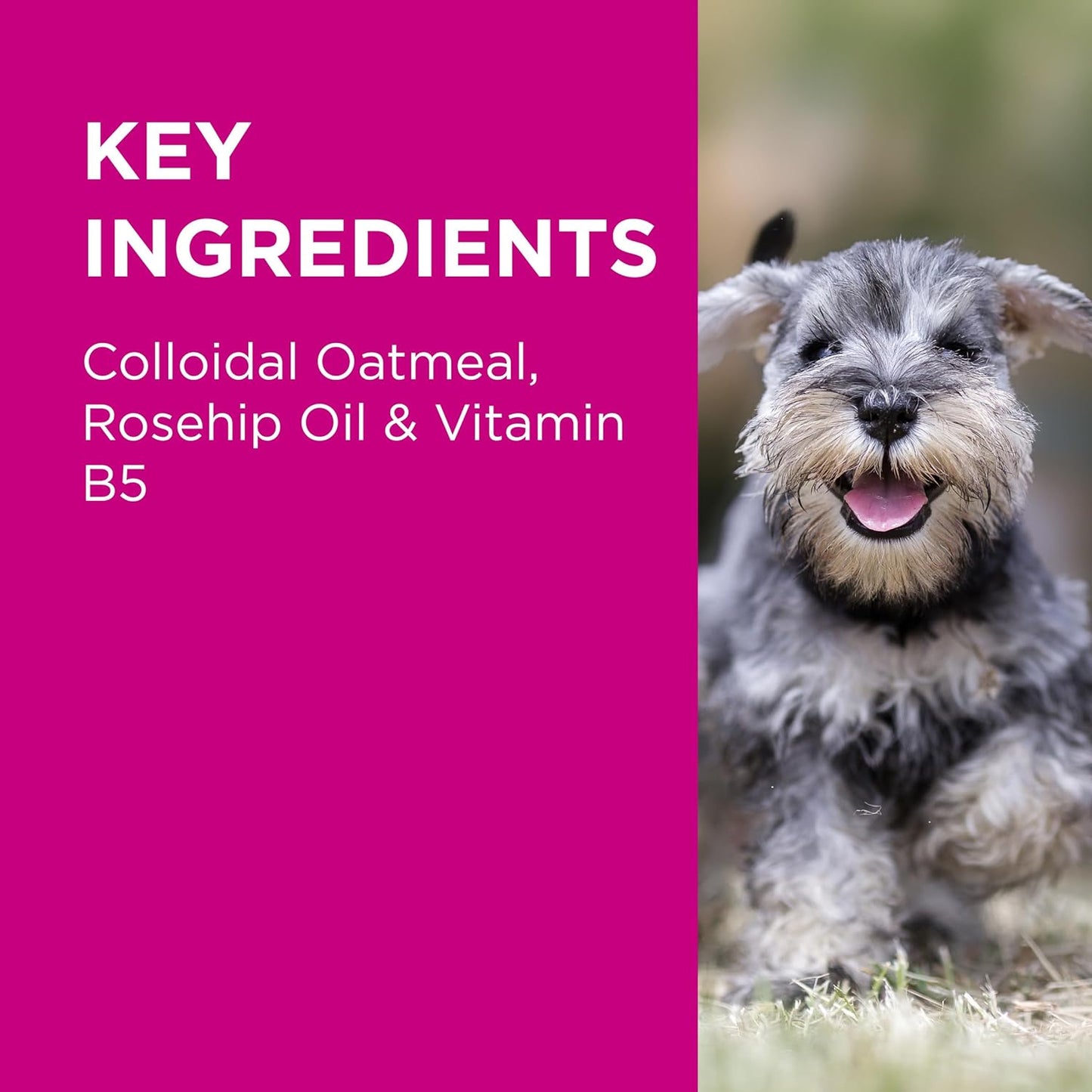 PAW by Blackmores NutriDerm® Replenishing Shampoo