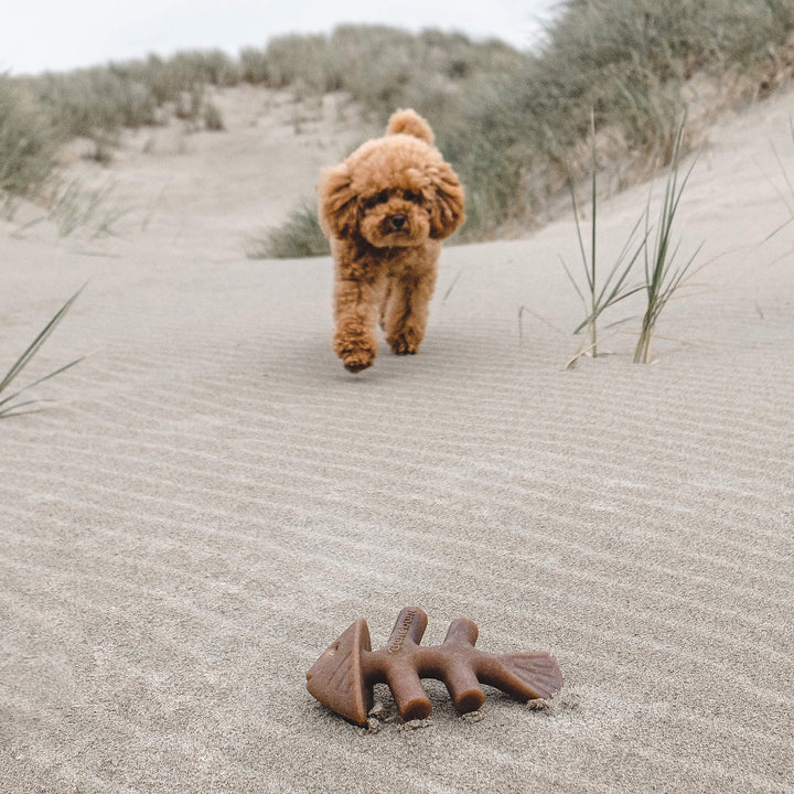 Benebone – Jack Salmon Fishbone