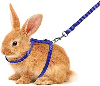 Percell – Rabbit Harness