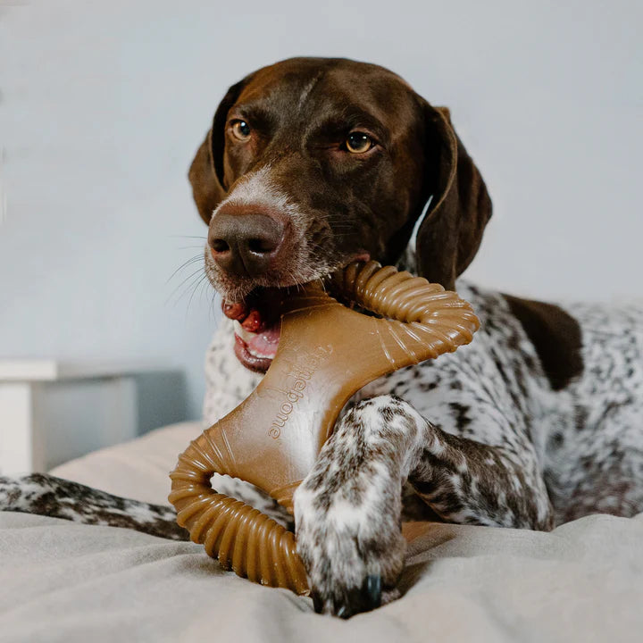 Benebone – Bacon Dental Chew