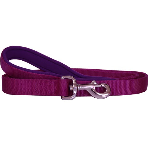 Beau Pets – Neoprene Handle Nylon Lead