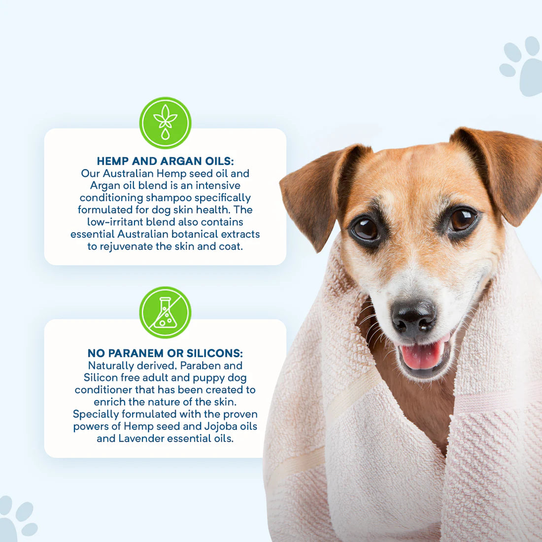 Stay Loyal – Calming Shampoo