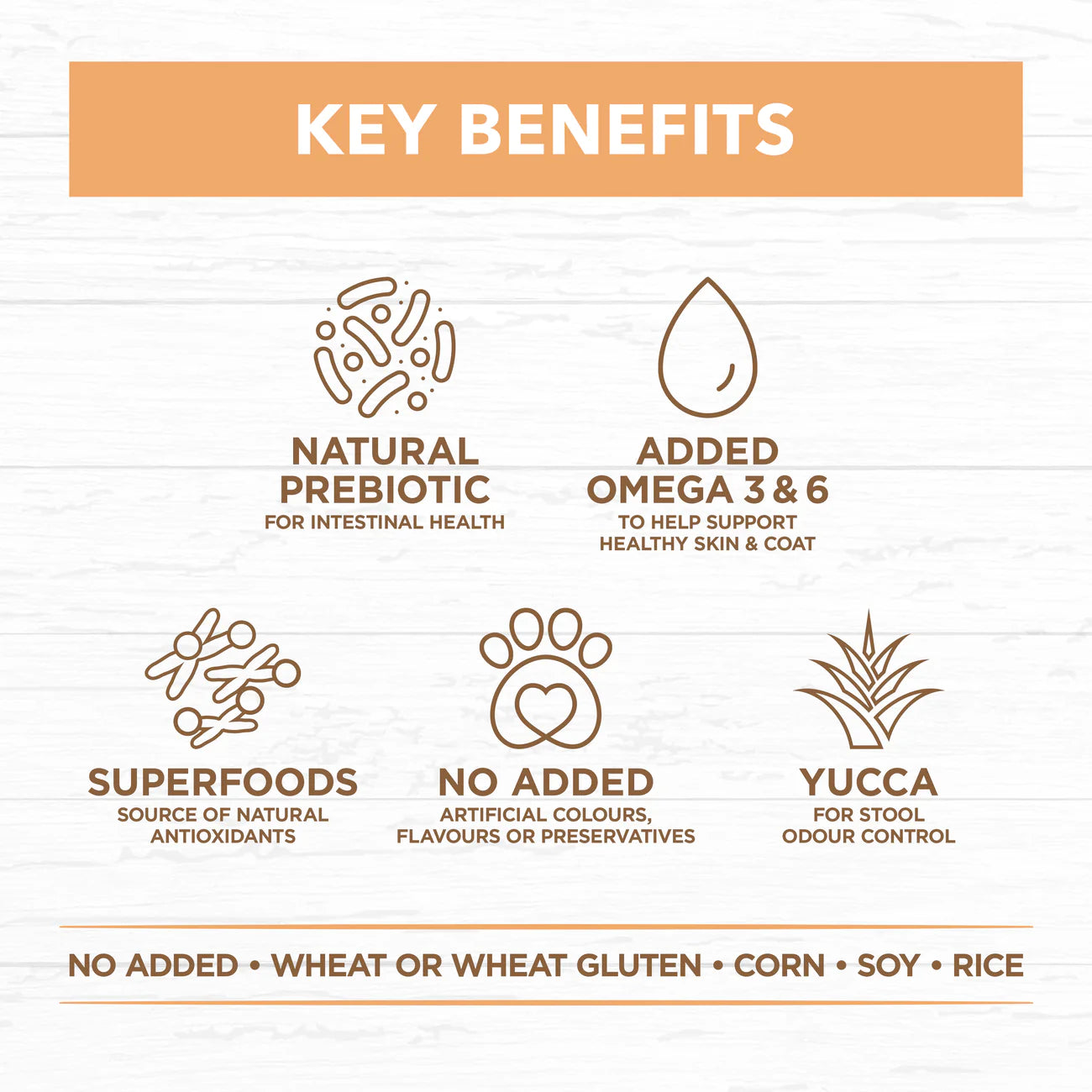 Ivory Coat – Puppy – GRAIN FREE – Chicken