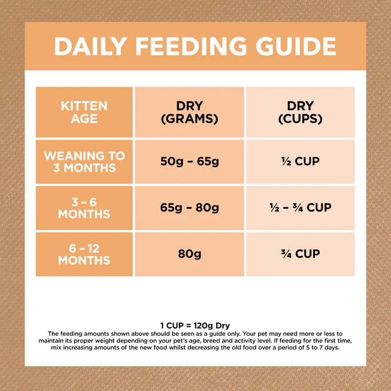 Ivory Coat – Kitten – GRAIN FREE – Chicken