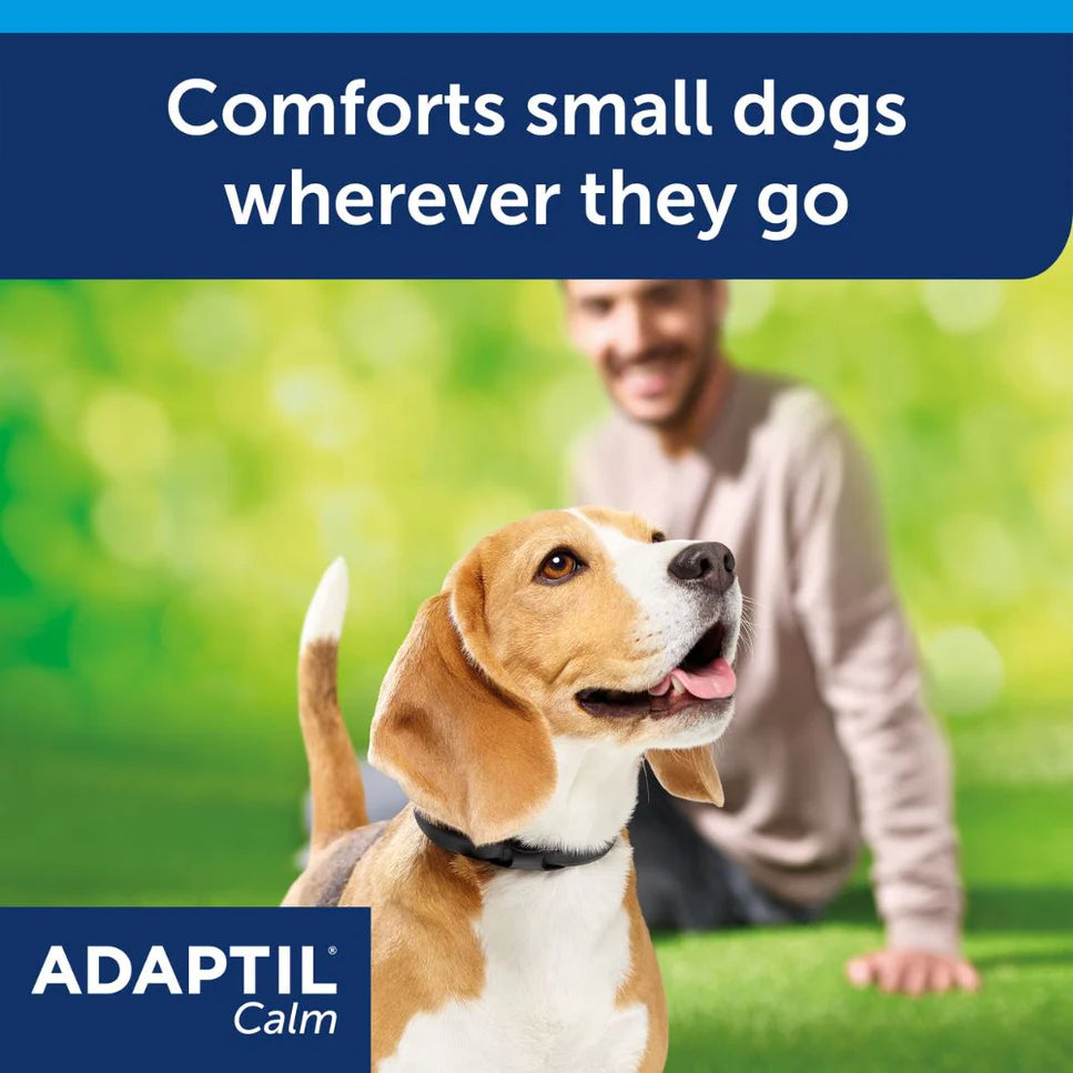 Adaptil Calm Collar