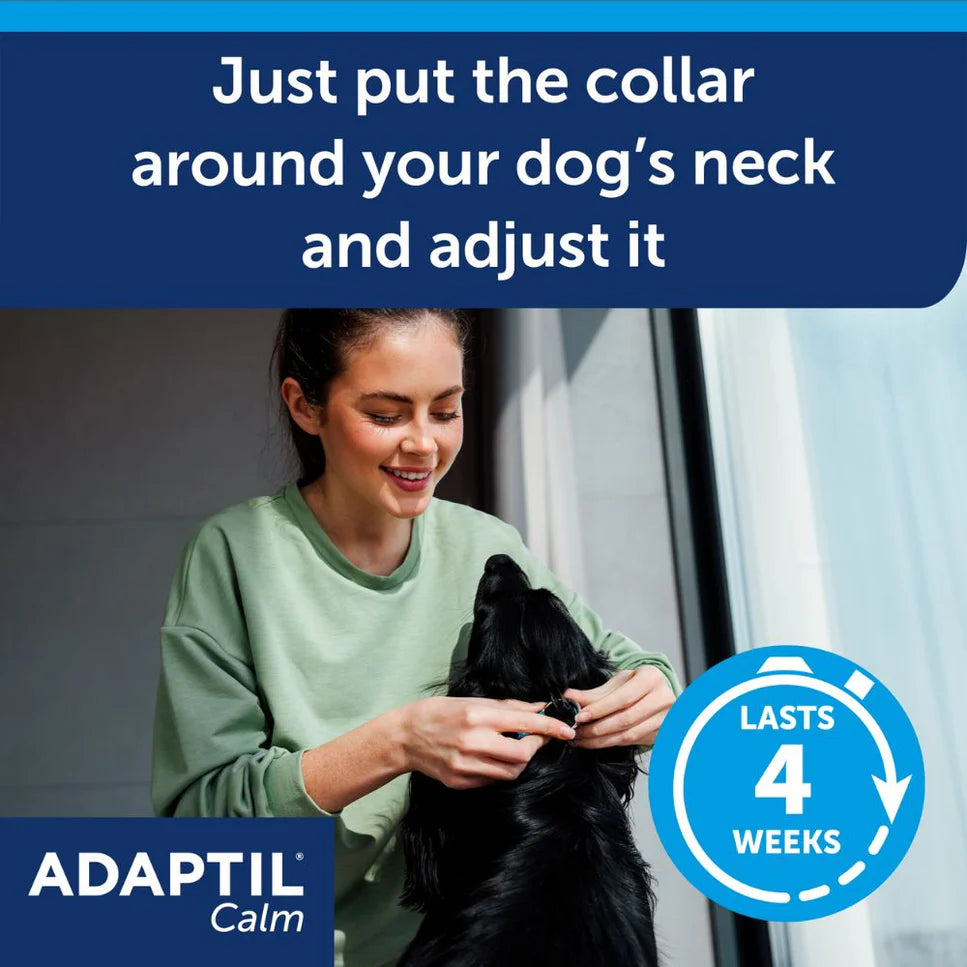 Adaptil Calm Collar