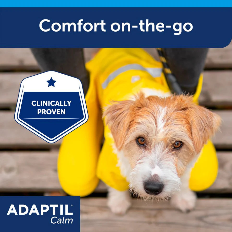 Adaptil Calm Collar