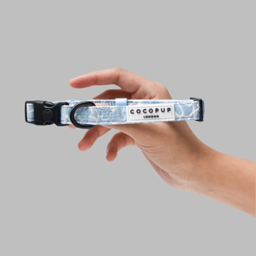 Cocopup London – LUXE Dog Collar – Baby Blue Flower