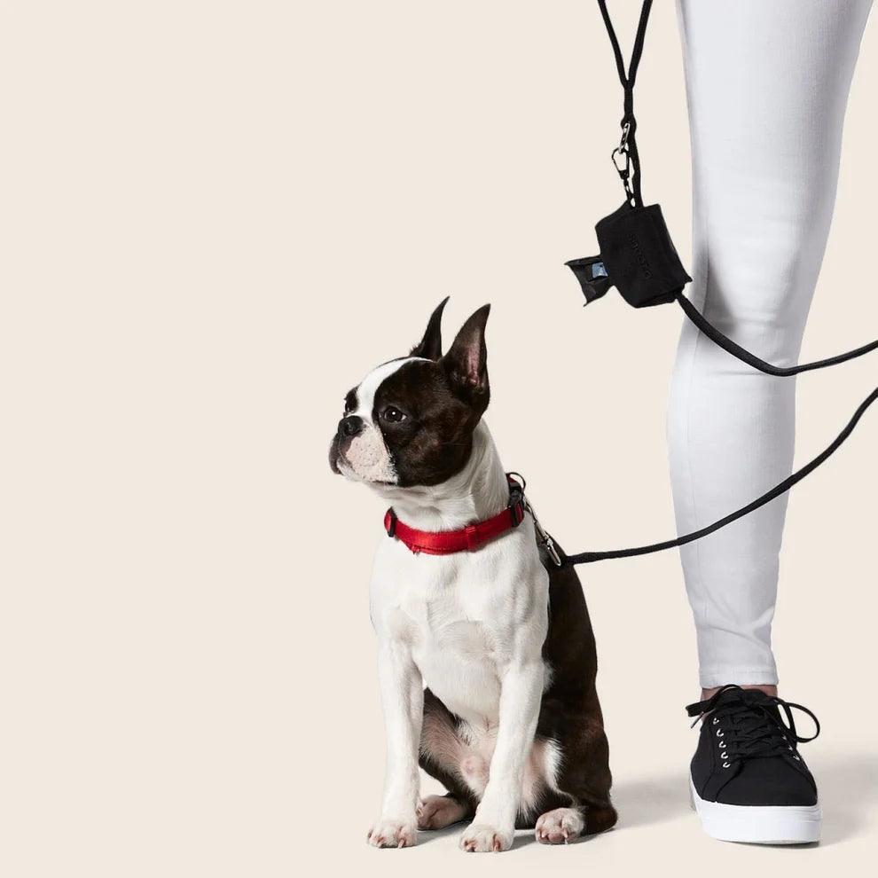 Snooza – Doo Doo Good Eco Bags