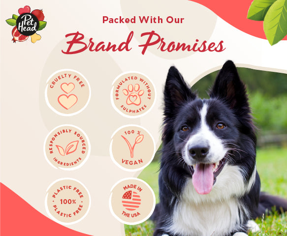 Pet Head – 3-in-1 Shampoo Bar - Barkn Bargains