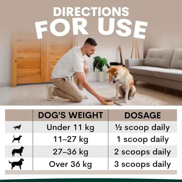 PetzPark – Eye Support – For Dogs