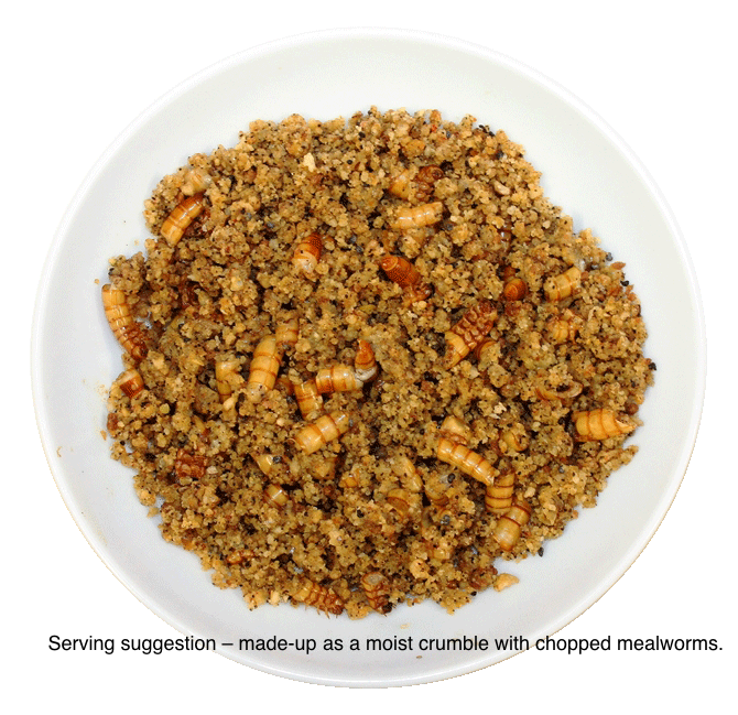 Passwell – Finch Soft Food