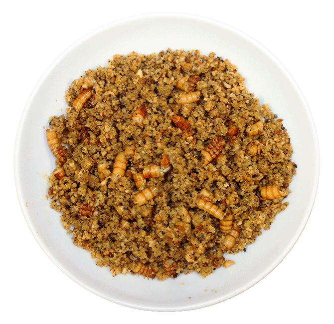 Passwell – Finch Soft Food (Red Enhancer) – SPECIAL ORDER