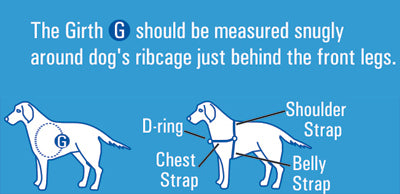 Beau Pets - Gentle Leader Harness