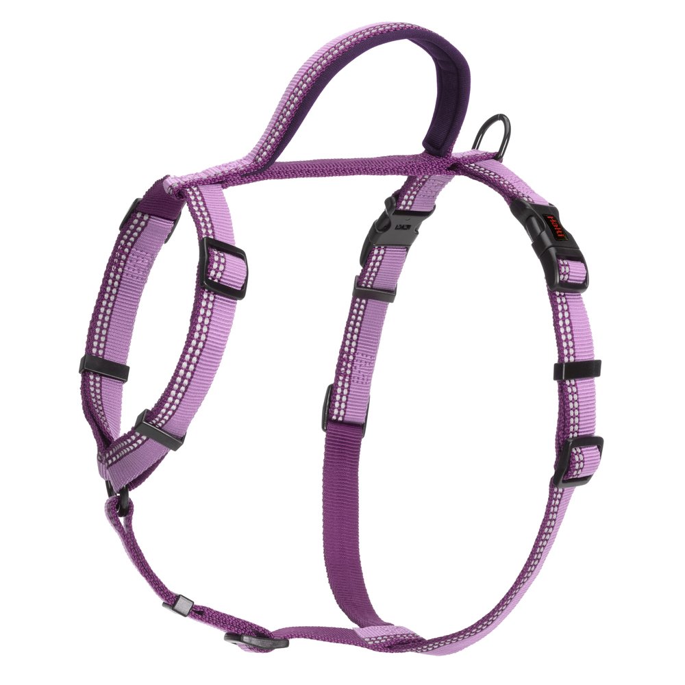 Company of Animals – Halti – Walking Harness