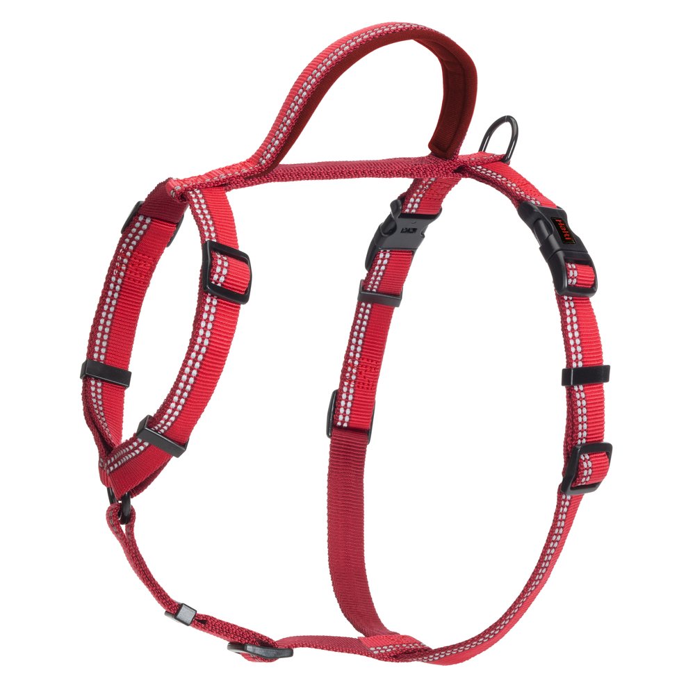 Company of Animals – Halti – Walking Harness