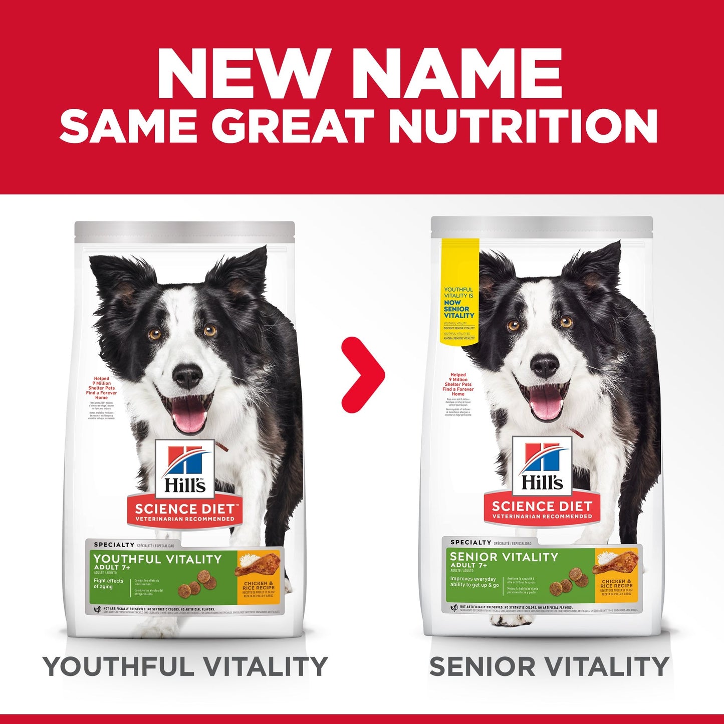 Hill’s – Science Diet – Adult Dog (7+) – Senior Vitality