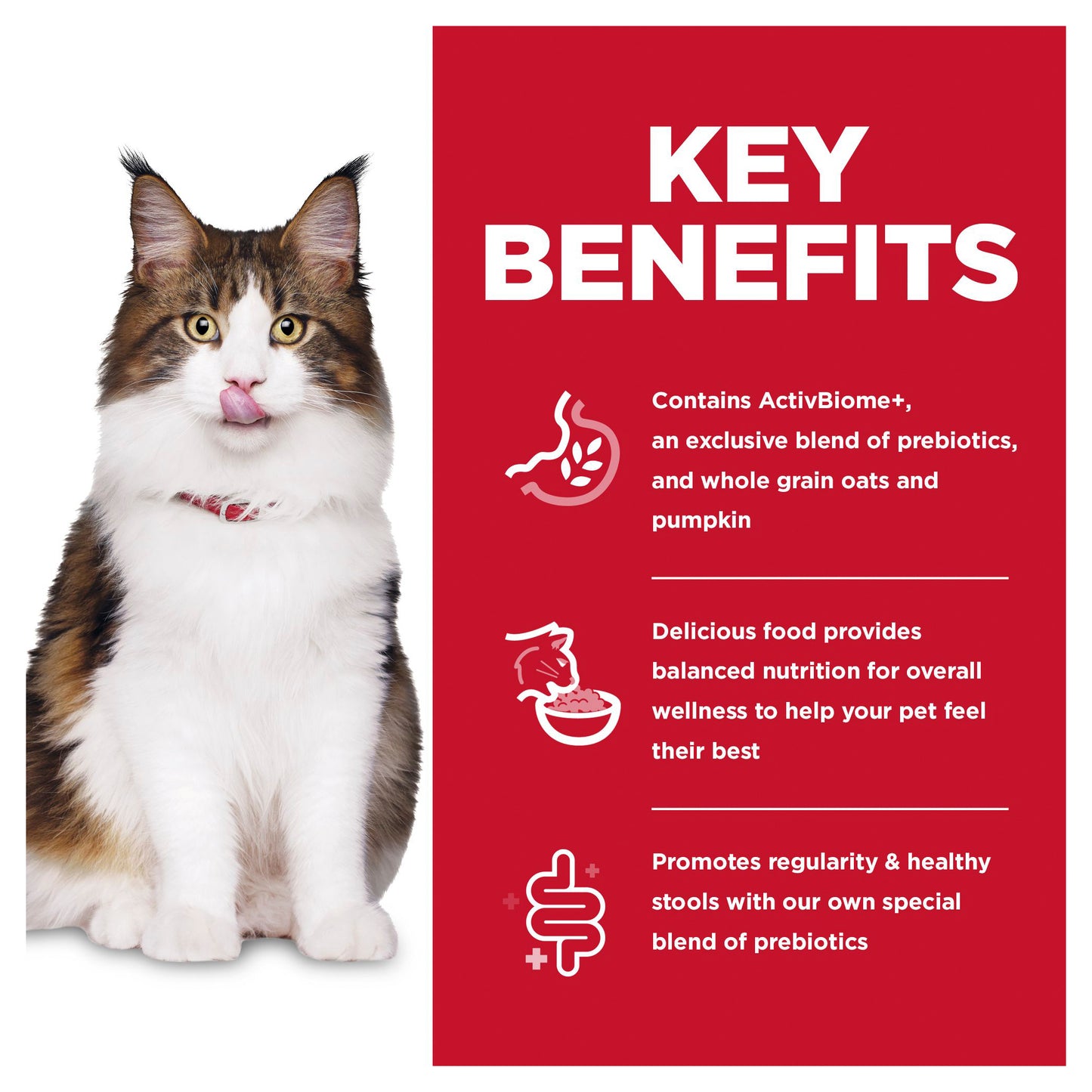 Hill’s – Science Diet – Adult Cat (1-6) – Perfect Digestion