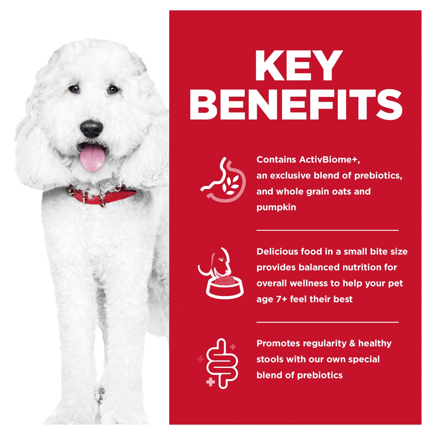 Hill’s – Science Diet – Adult Dog (7+) – Perfect Digestion – Small Bites