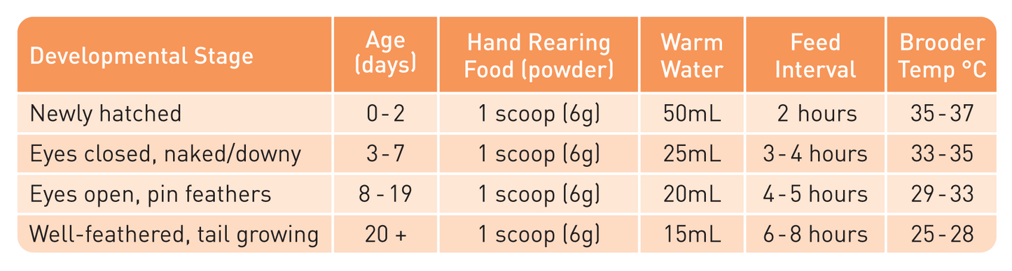 Passwell – Hand Rearing Food