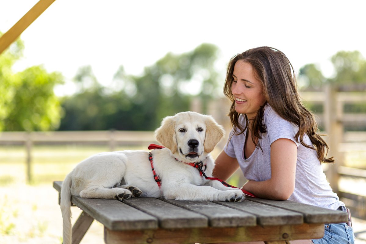 Company of Animals – Halti – Walking Harness