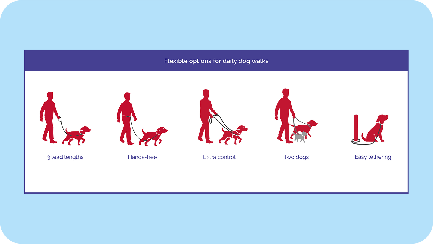 Company of Animals – Halti – Double Ended Lead
