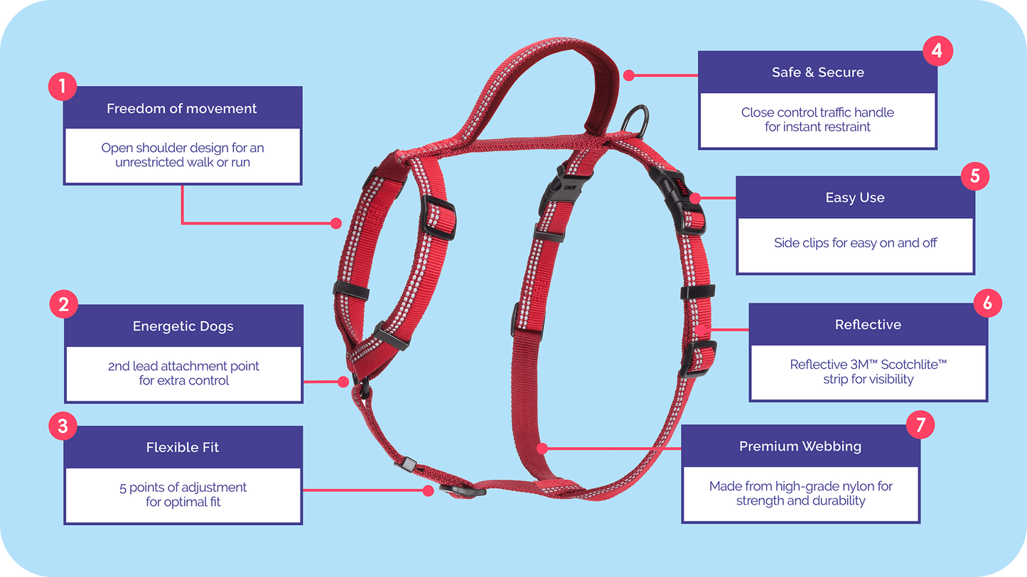 Company of Animals – Halti – Walking Harness