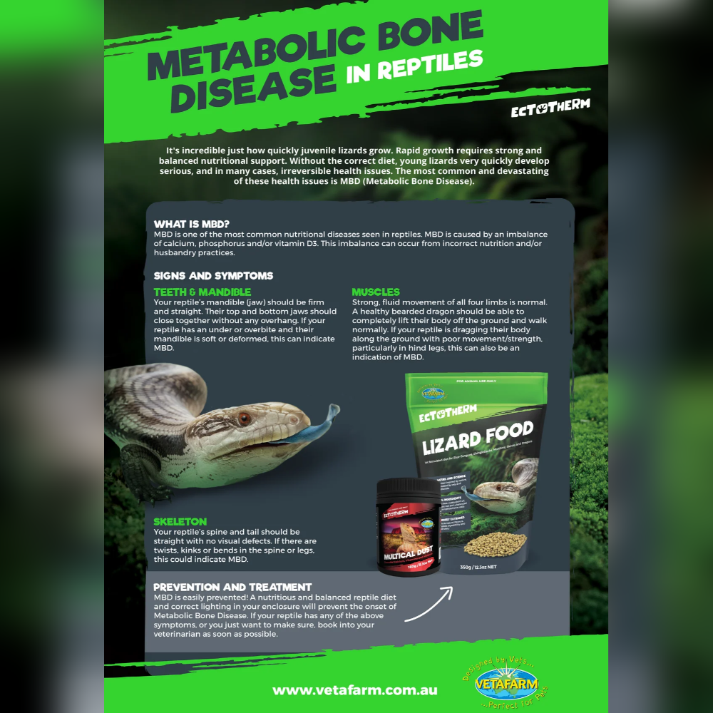 Vetafarm – Ectotherm Lizard Food