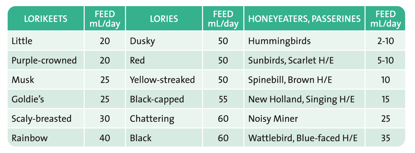 Wombaroo – Lorikeet & Honeyeater Food (Red Enhancer) – SPECIAL ORDER