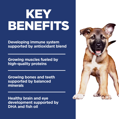 Hill’s – Science Diet – Puppy – Large Breed