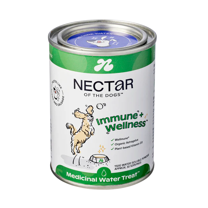 Nectar of the Dogs