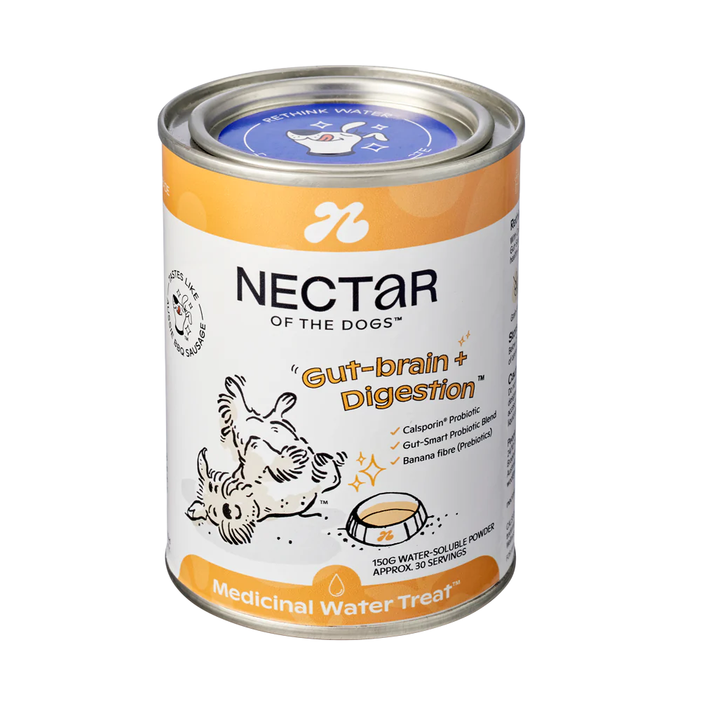 Nectar of the Dogs
