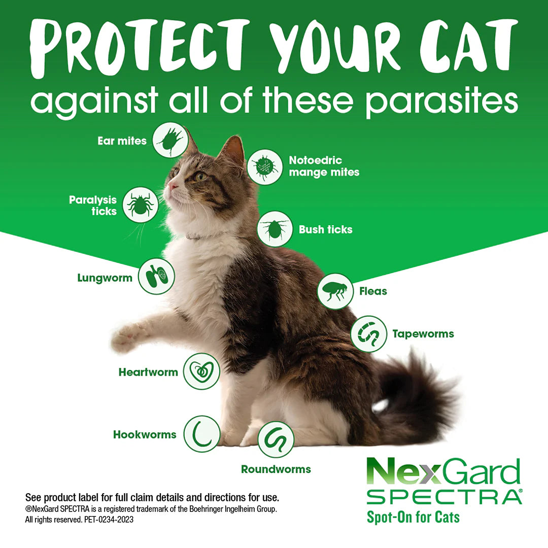 NexGard SPECTRA – Spot-On for Cats 0.8 – 2.4kg