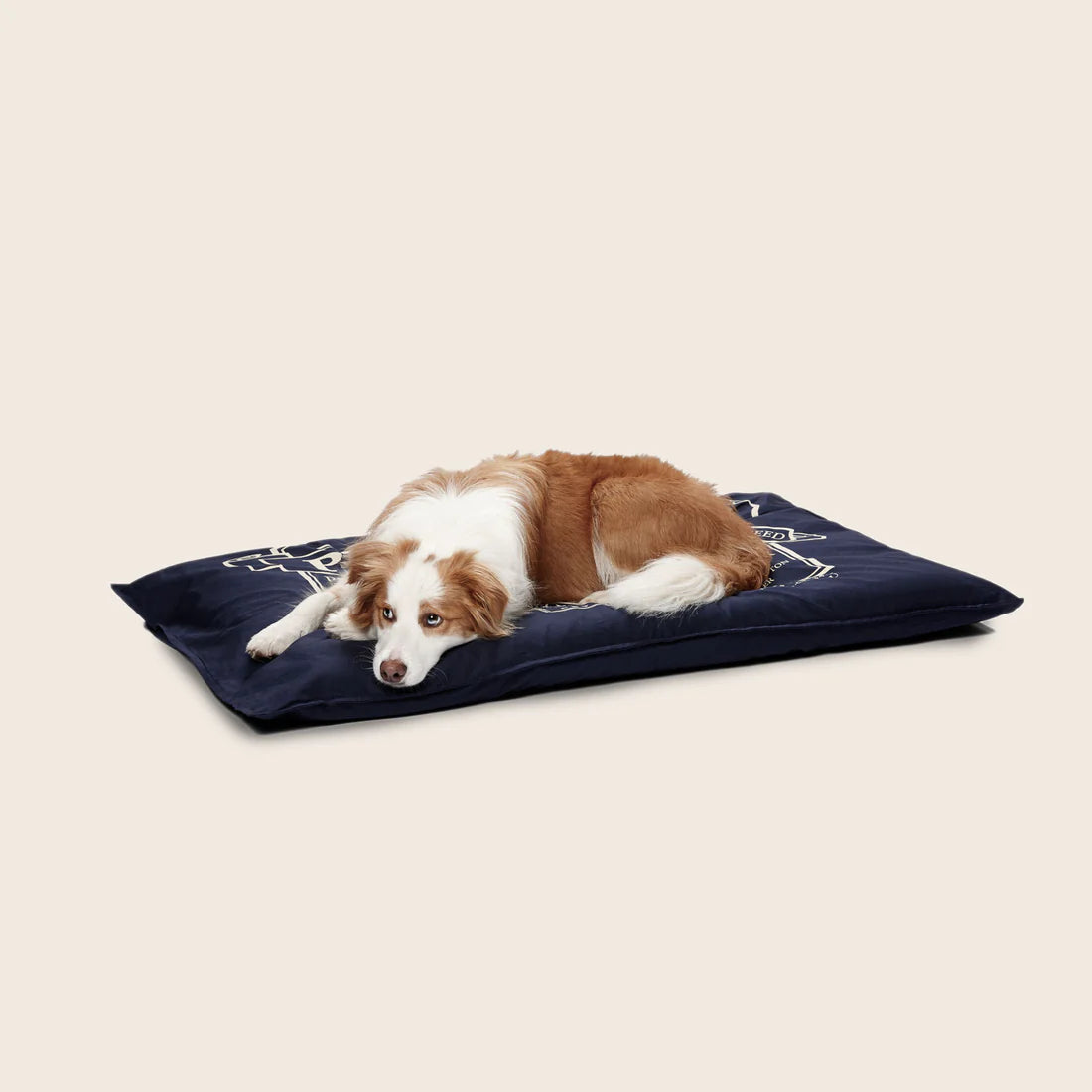 Snooza – Organic Futon Replacement Cover – Blue