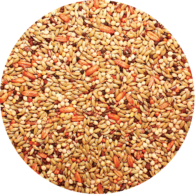 Passwell – Canary Seed – Red Factor