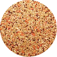 Passwell – Canary Seed – Red Factor