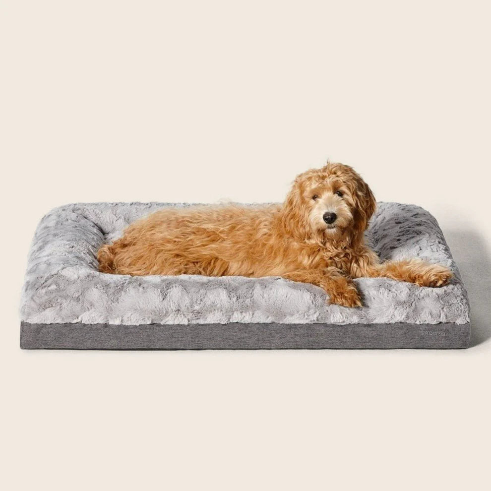 Snooza – Ultra Comfort Lounge