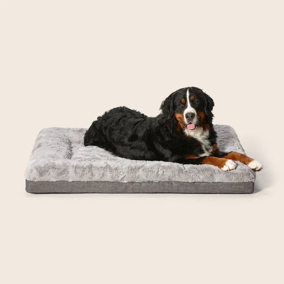Snooza – Ultra Comfort Lounge